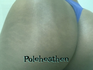 poleheathen Blog Pornostar