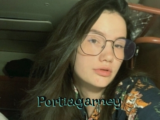 Portiagarney