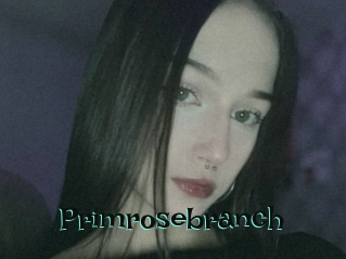 Primrosebranch