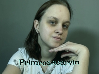 Primrosecarvin
