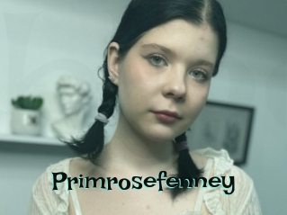 Primrosefenney