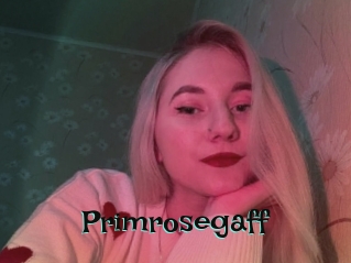 Primrosegaff