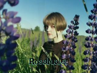 RosaMalet