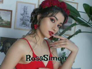 RosaSimon Blog Pornostar