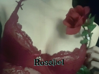 Rosalie1 Blog Pornostar