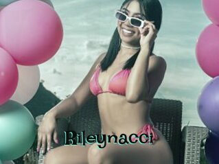 Rileynacci