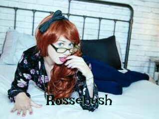 Rossebush