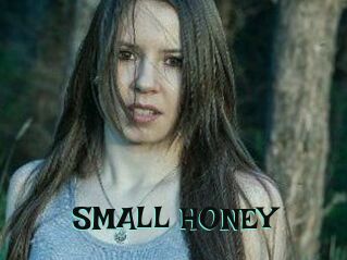 SMALL_HONEY