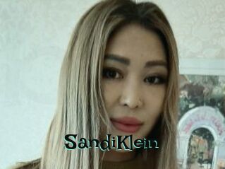 SandiKlein