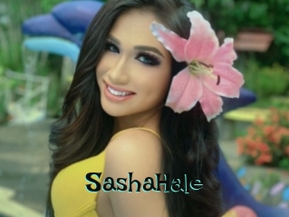 SashaHale Blog Pornostar