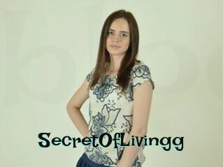 SecretOfLivingg