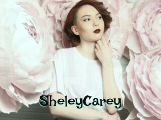 SheleyCarey