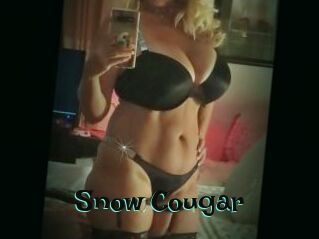 Snow_Cougar