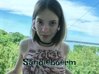 Sandieboerm
