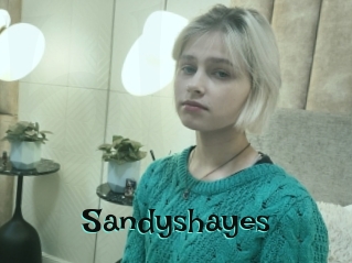 Sandyshayes