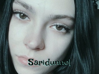Saridunnel