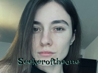 Seekeroftheone