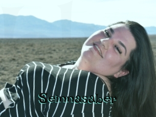 Seinnasaber