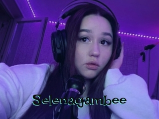 Selenagambee