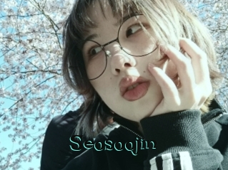 Seosoojin
