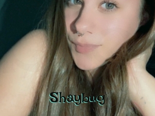 Shaybug