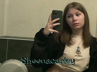 sheenacarley Blog Pornostar