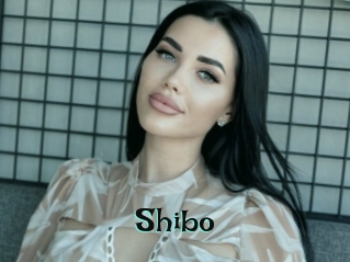 Shibo