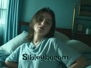 Sibleyborom