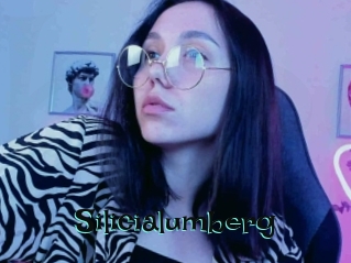 Silicialumberg