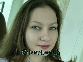 Silverbeech
