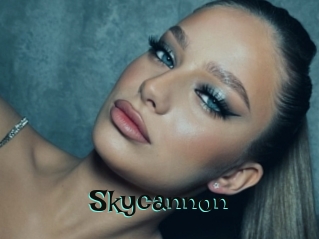 Skycannon
