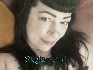 Skylar_bird