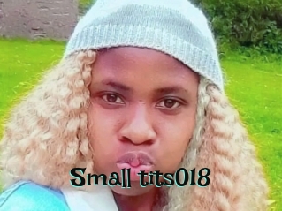 Small_tits018