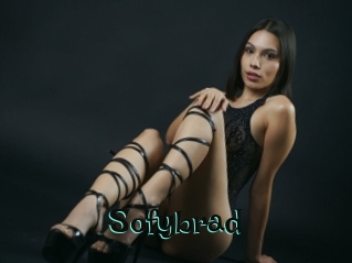 sofybrad Blog Pornostar