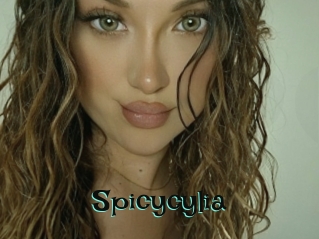 Spicycylia