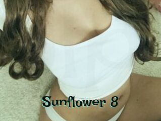 Sunflower_8