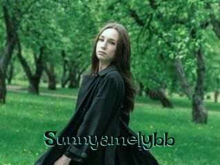 Sunnyamelybb