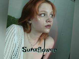 sunxflower Blog Pornostar