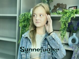 Synnefugler