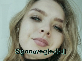 Synnovegledhill