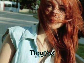 TinyFox