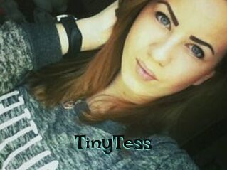 TinyTess