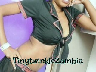 TinytwinkleZambia