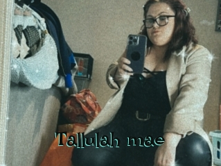 Tallulah_mae