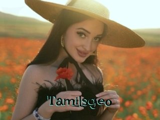 Tamilsgeo