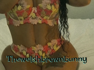Thewelshbrownbunny