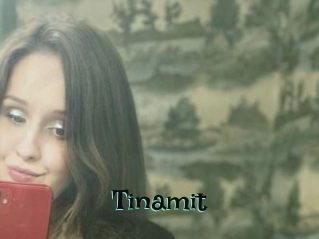 Tinamit