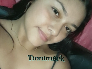 Tinnimark