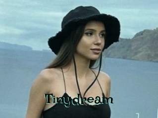 Tinydream