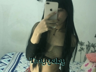 Tinygaby